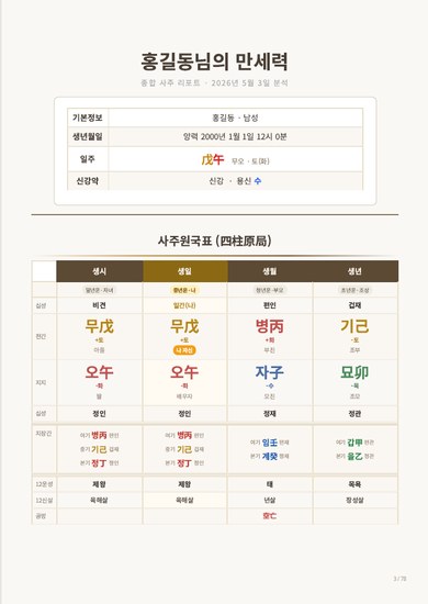 리포트 미리보기 2